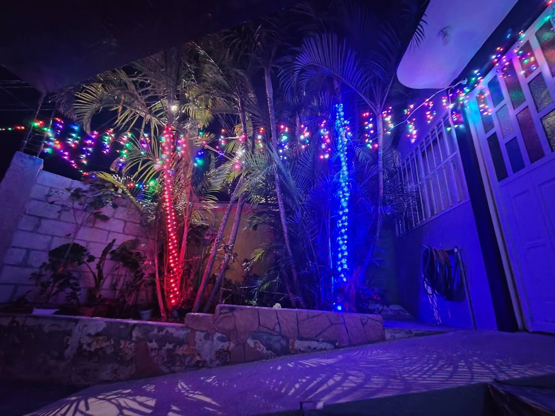 Vista del acceso, plantas y luces desde el patio.